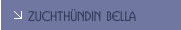 Zuchth&uuml;ndin BELLA