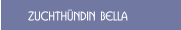Zuchth&uuml;ndin BELLA