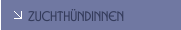Zuchth&uuml;ndinnen