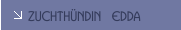Zuchth&uuml;ndin  EDDA