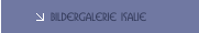 Bildergalerie ISALIE