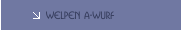 Welpen A-Wurf