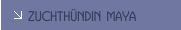 Zuchth&uuml;ndin MAYA