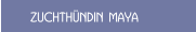 Zuchth&uuml;ndin MAYA